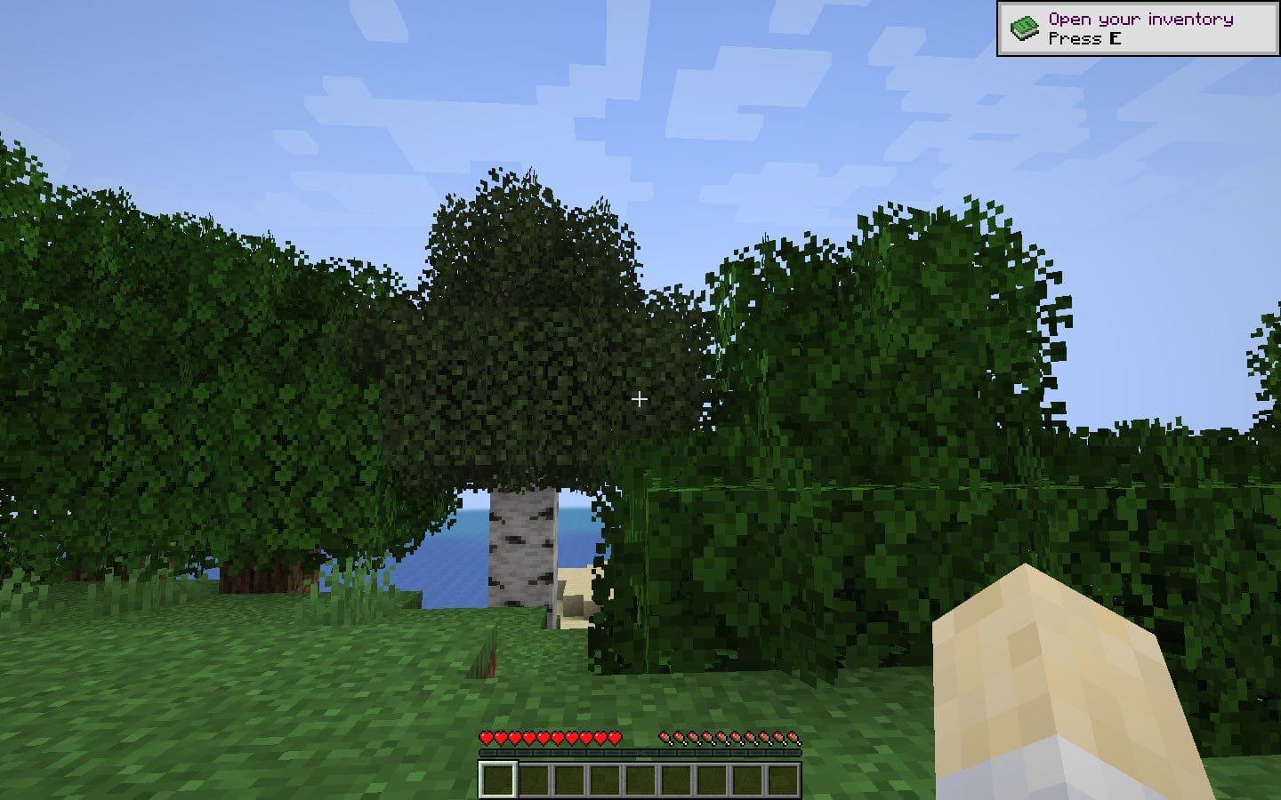 Motschen's Better Leaves