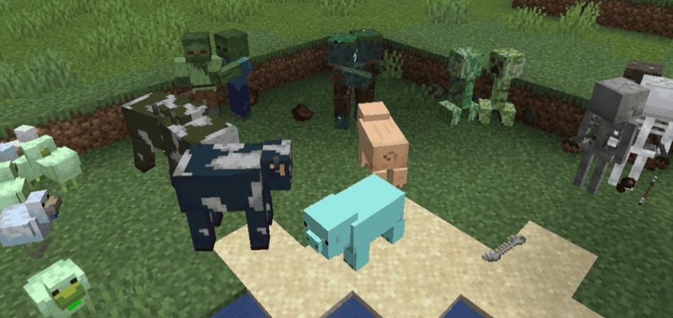 Entity Texture Features - Minecraft Quality of Life Mod